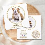 Custom Photo Elegant Gold Dog Pet Social Media  Square Business Card at Zazzle