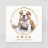 Custom Photo Elegant Gold Dog Pet Social Media  Square Business Card (Front)