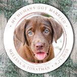 Custom Photo Elegant Rose Gold Wedding Classic Round Sticker<br><div class="desc">Add the finishing touch to your dog wedding announcements with these custom photo, and personalized 'My Humans Got Married stickers. Customize with your favorite photo,  names and date. COPYRIGHT © 2020 Judy Burrows,  Black Dog Art - All Rights Reserved. Custom Photo Elegant Rose Gold Wedding Classic Round Sticker</div>