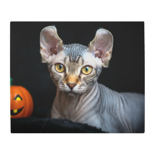 Custom Photo Elf Sphynx Cat Portrait Metal Print