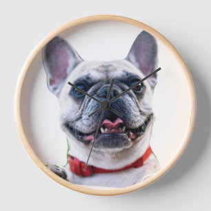 Custom Photo French Bulldog Wall Clock