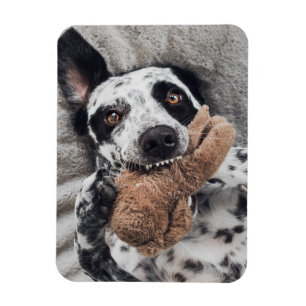 Custom Photo Fridge Magnet
