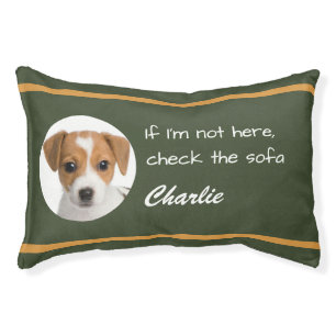 Custom Photo Funny Dog Humor "Check the Sofa" Cute Pet Bed