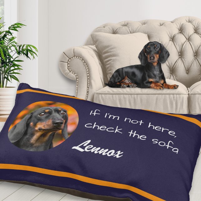 Custom Photo Funny Dog Quote "Check the Sofa" Pet Bed (A funny dog bed in navy blue with orange stripes, personalized with your pet's name and photo)