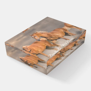 Custom Photo Glass Paperweight