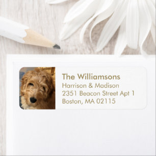 Custom photo gold white modern Return Address Label