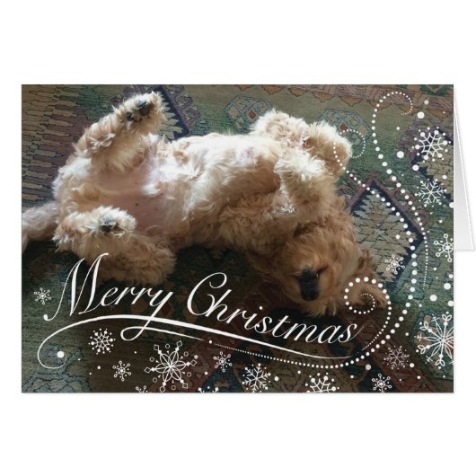 Custom Photo Golden Doodle Merry Christmas (Front Horizontal)