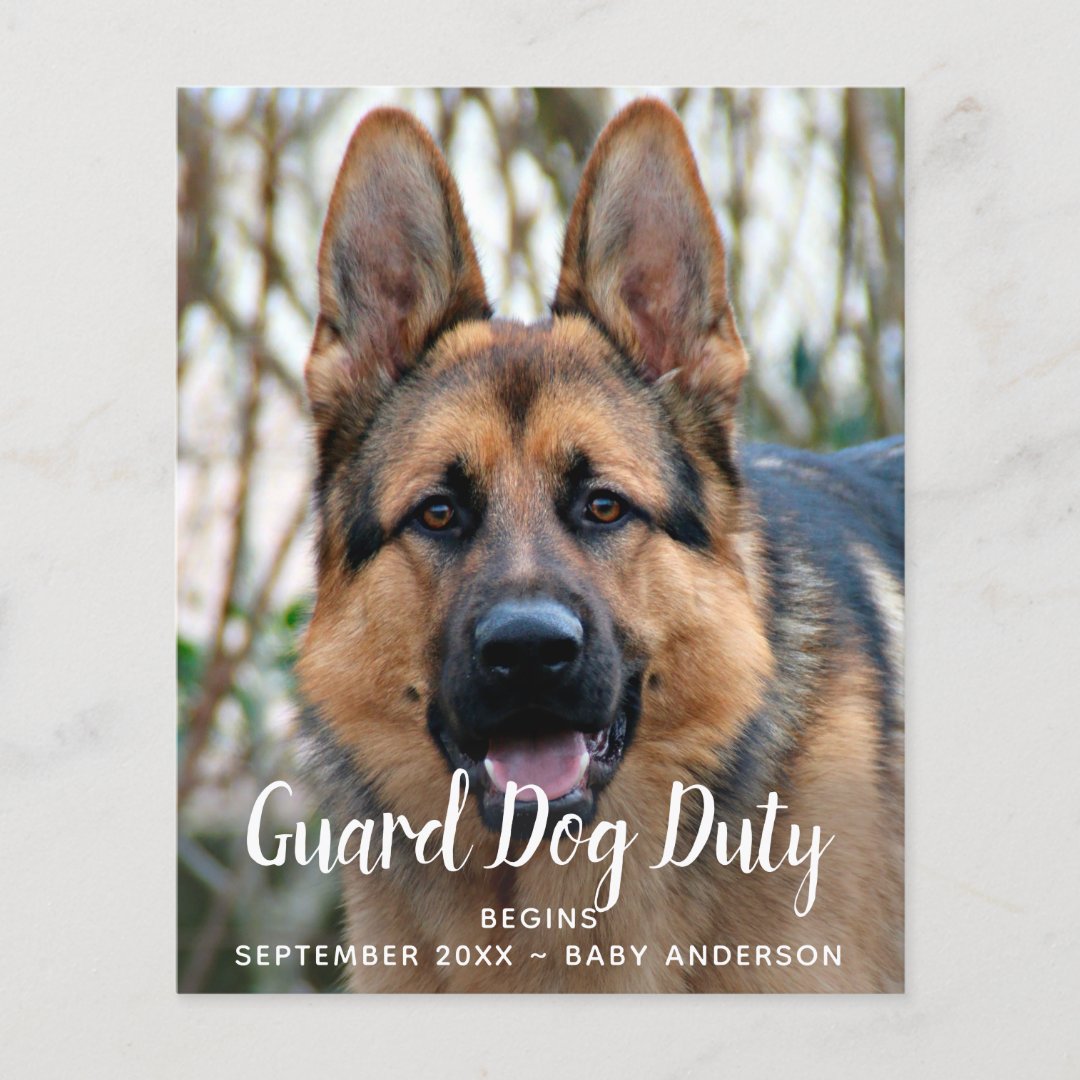 Custom Photo Guard Dog Duty Pregnancy Announcement Zazzle