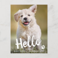 Custom Photo Hello New Pet Puppy Dog