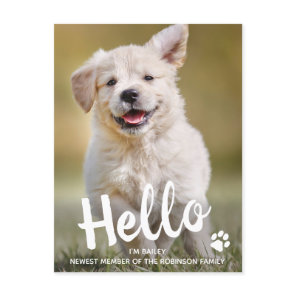 Custom Photo Hello New Pet Puppy Dog Announcement Postcard