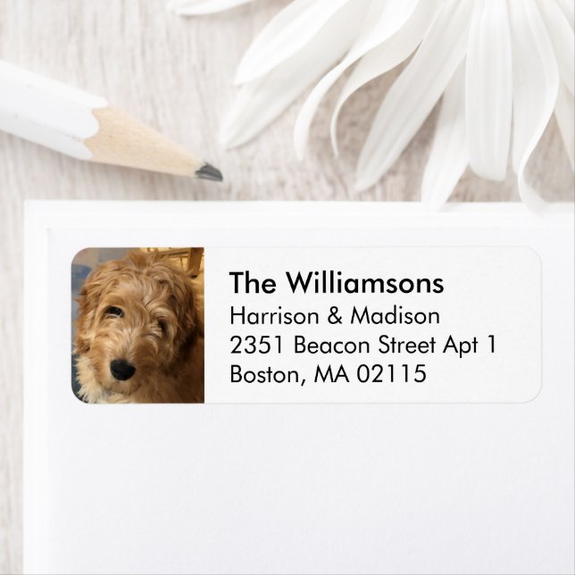Custom photo image black white Return Address  Label (Insitu)