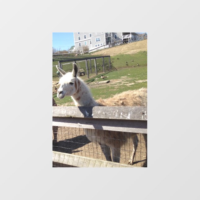 Custom photo image picture decorative wall decal  (Front)