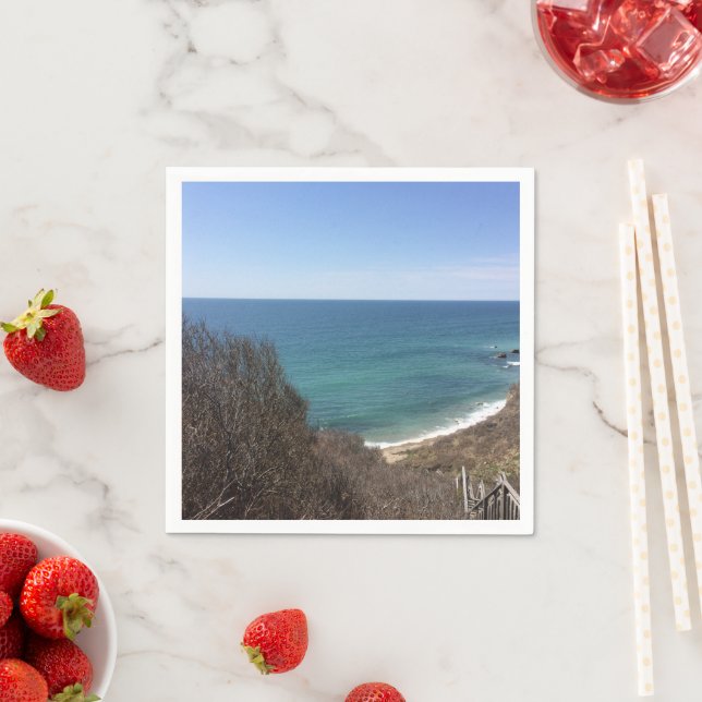 Custom photo image picture personalized paper napkins (Insitu)