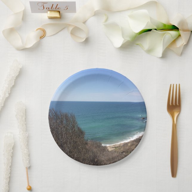 Custom photo image picture personalized paper plates (Wedding)