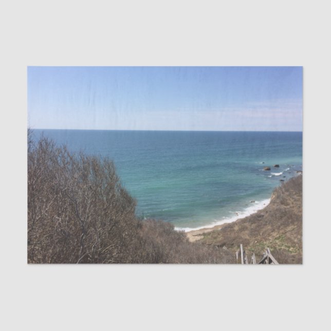 Custom photo image picture personalized tissue paper (Front)