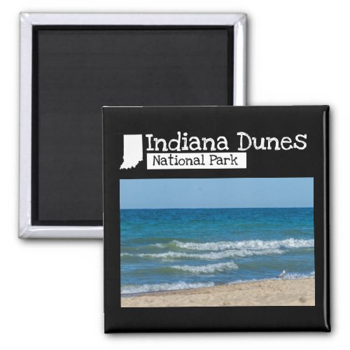 Custom Photo _ Indiana Dunes National Park Magnet