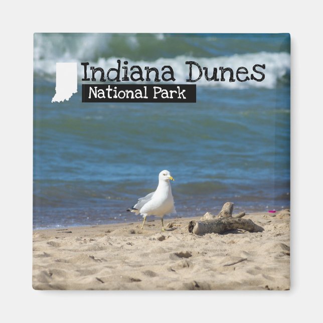 Custom Photo - Indiana Dunes National Park Magnet (Front)