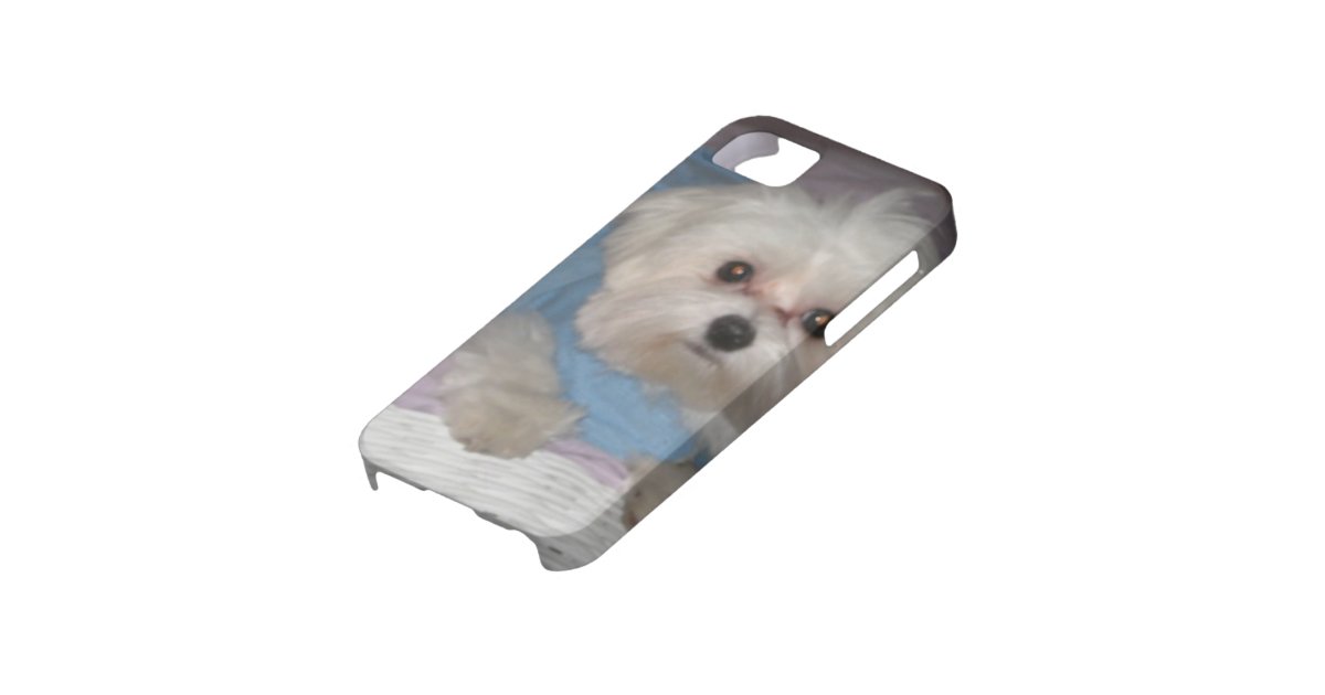 Custom Photo iPhone 5 Case