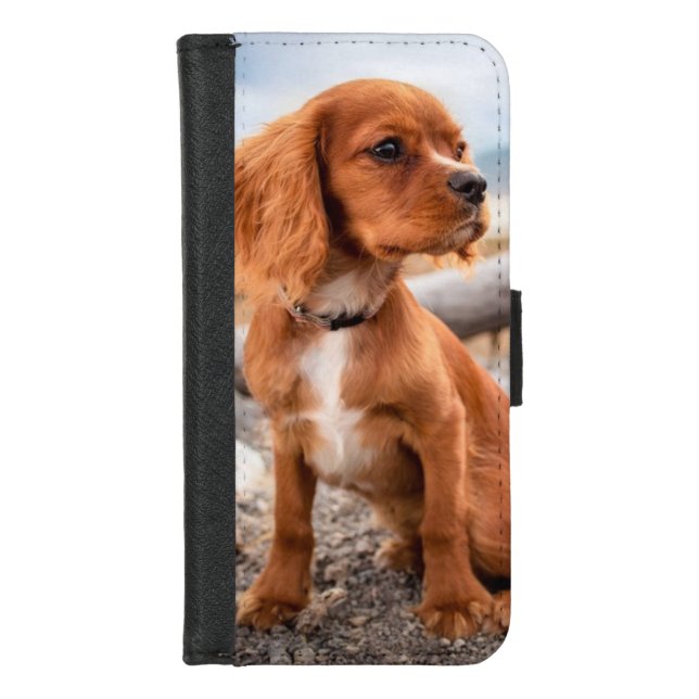 Custom Photo iPhone 8/7 Wallet Case (Front)