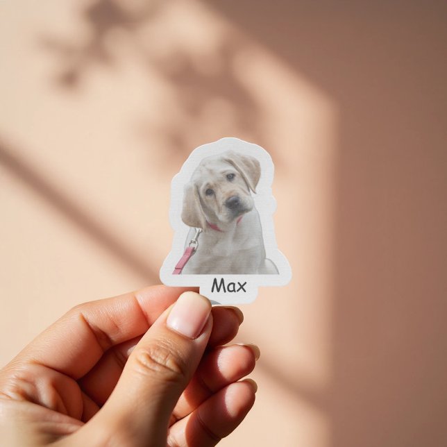 Custom photo Labrador Retriever puppy Sticker (Creator Uploaded)