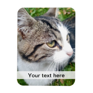 Custom photo magnet | Upload your image here