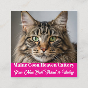 Custom Photo Maine Coon Cattery Business Card