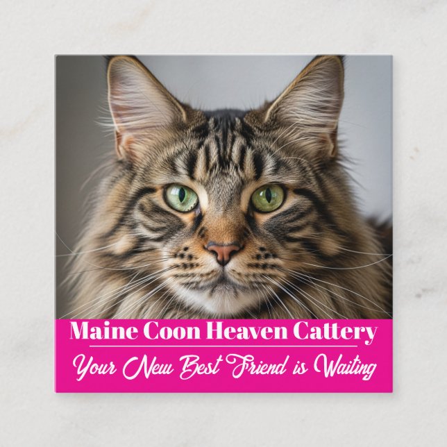 Custom Photo Maine Coon Cattery Business Card (Front)