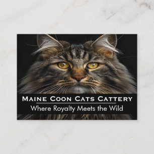 Custom Photo Maine Coon Cattery Professional Business Card