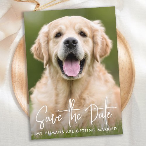 Custom Photo Modern Simple Elegant Pet Dog Wedding Save The Date