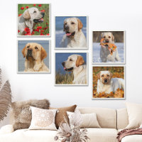 Custom Photo Modern Simple Trendy 6 Wall Collage
