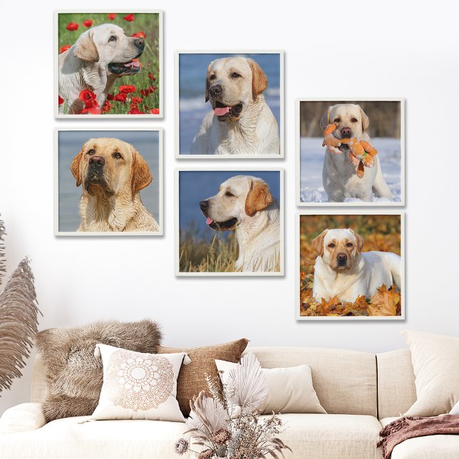 Custom Photo Modern Simple Trendy 6 Wall Collage Peel And Stick Photo Tile (Creator Uploaded)