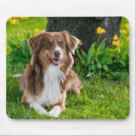 Custom Photo Mouse Pad<br><div class="desc">Custom Photo Mouse Pad</div>