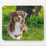 Custom Photo Mouse Pad<br><div class="desc">Custom Photo Mouse Pad</div>