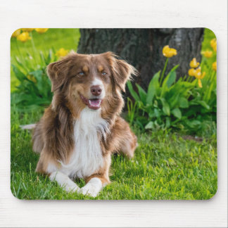 Custom Photo Mouse Pad