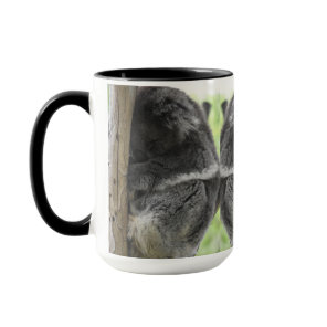 Custom Photo Mug - 3 Photos - Cute Koala