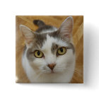 Custom Photo Or Other Image Pinback