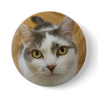 Custom Photo Or Other Image Pinback