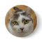 Custom Photo Or Other Image Pinback