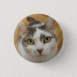 Custom Photo Or Other Image Pinback Button<br><div class="desc">Upload your photo and create your perfect personalized photo button. You can TRANSFER this DESIGN on other Zazzle products and adjust it to fit most of the Zazzle items. You can also click the CUSTOMIZE button to add, delete or change details like background color, text, font or some graphics. Standard...</div>