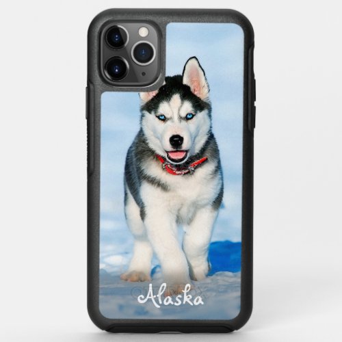 Custom Photo OtterBox Symmetry iPhone 11 Pro Max Case