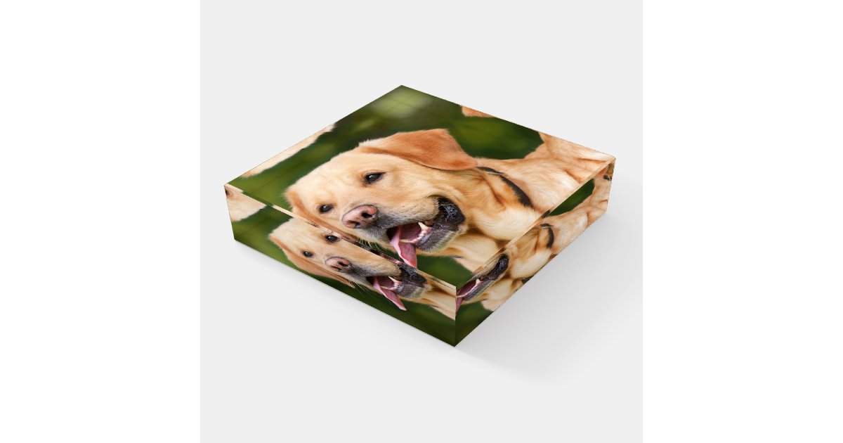 Photo Block Paperweight Custom Photo Paperweight | Zazzle