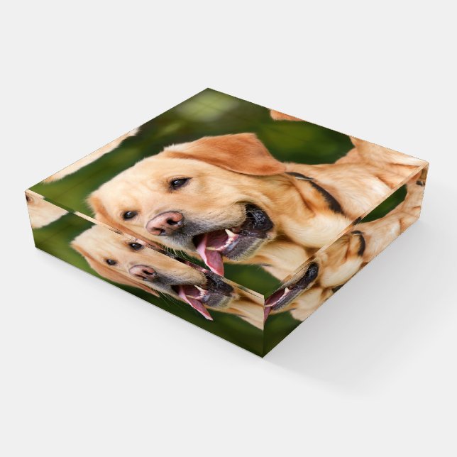 Custom Photo Paperweight (Angled)