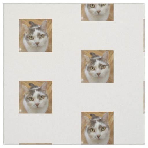 Custom Photo Pattern Fabric