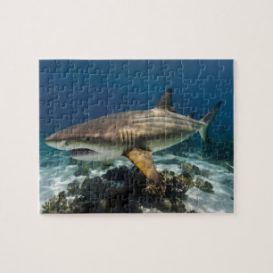 Custom Photo Personalized blue white shark fish Jigsaw Puzzle