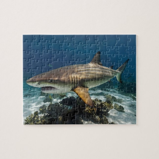Custom Photo Personalized blue white shark fish    Jigsaw Puzzle (Horizontal)