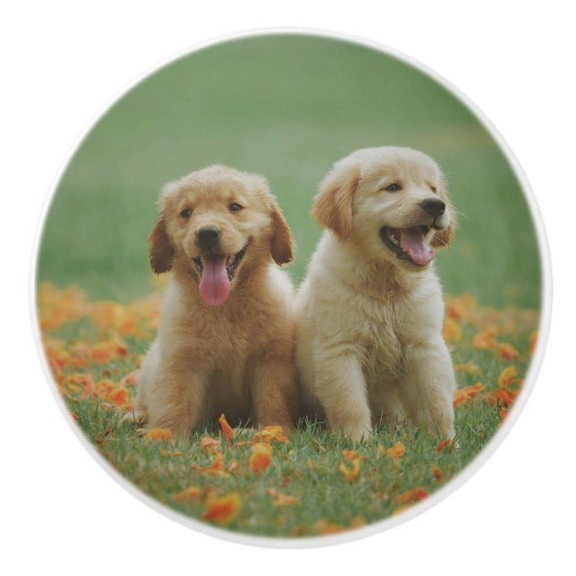 Custom Photo Personalized Ceramic Knob (Front)