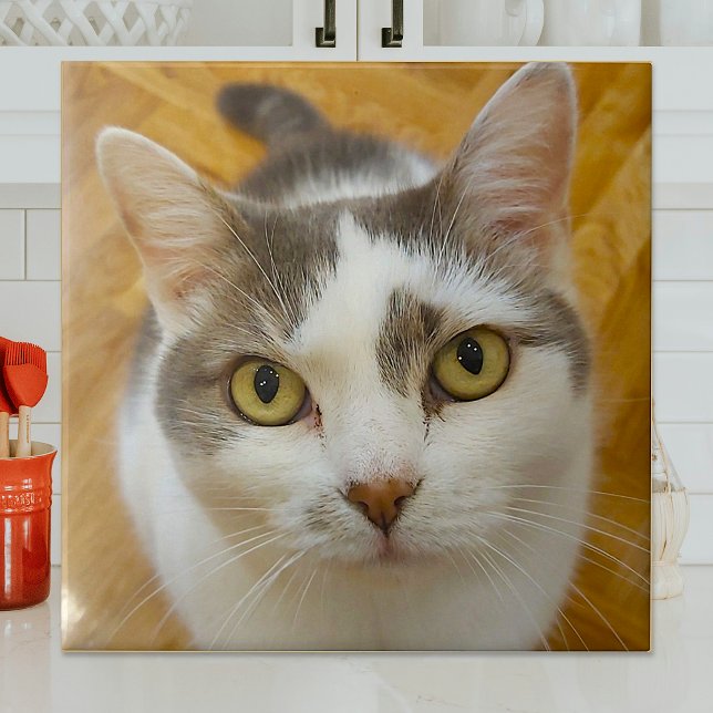 Custom Photo Personalized Ceramic Tile (Creator Uploaded)