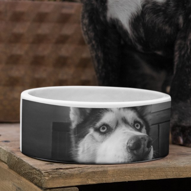Custom Photo personalized dog cat pet dish (Creator Uploaded)