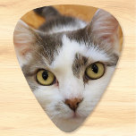 Custom Photo Personalized Guitar Pick<br><div class="desc">Upload a photo and easily create your personalized guitar pick. You can TRANSFER this DESIGN on other Zazzle products and adjust it to fit most of the Zazzle items. You can also click the CUSTOMIZE FURTHER button to add, delete or change details like background color, text, font or some graphics....</div>