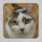 Custom Photo Personalized
